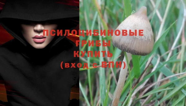 мдма Заводоуковск