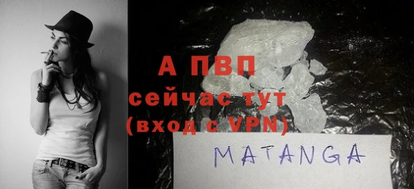 ПСИЛОЦИБИНОВЫЕ ГРИБЫ Ельня