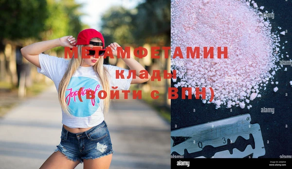 гидра Елабуга