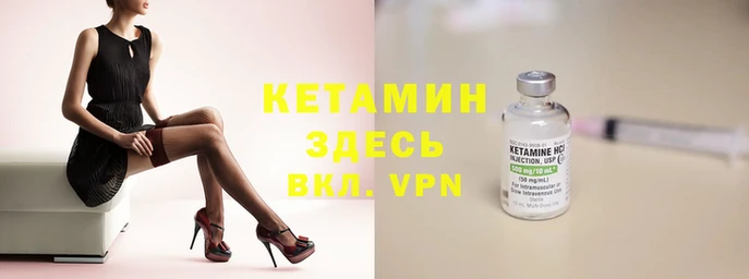 ПСИЛОЦИБИНОВЫЕ ГРИБЫ Ельня