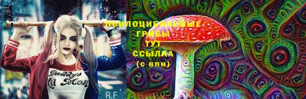 тгк Заволжье