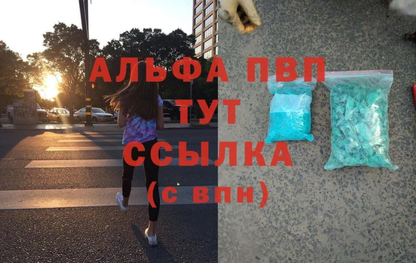 гидра Елабуга