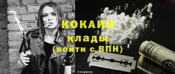 ПСИЛОЦИБИНОВЫЕ ГРИБЫ Ельня