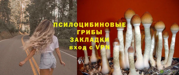 таблы Елизово
