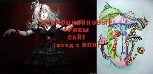 ПСИЛОЦИБИНОВЫЕ ГРИБЫ Ельня