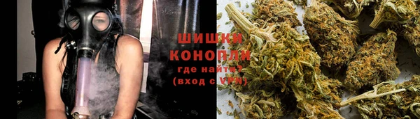 ПСИЛОЦИБИНОВЫЕ ГРИБЫ Ельня