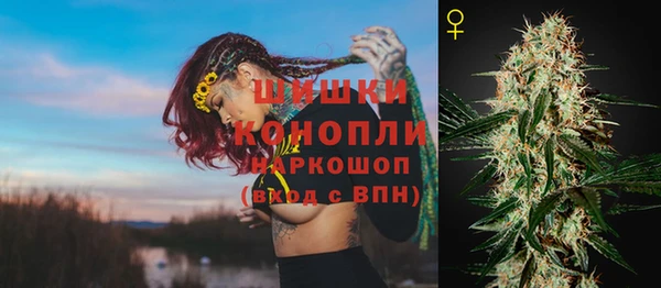 ПСИЛОЦИБИНОВЫЕ ГРИБЫ Ельня