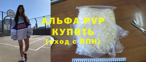 ПСИЛОЦИБИНОВЫЕ ГРИБЫ Ельня